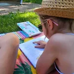 De Bosdriehoek Alpesi faház *