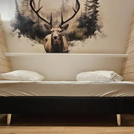 Σαλέ De Bosdriehoek