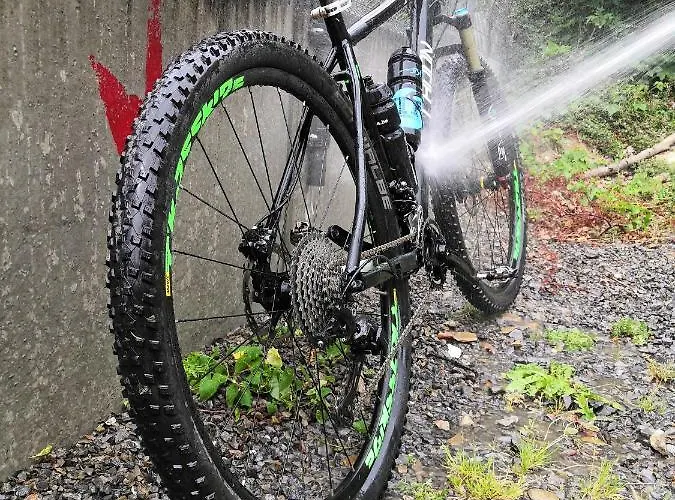 בקתה De Bosdriehoek דורבורי