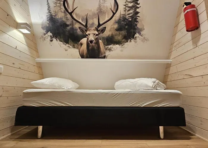 בקתה De Bosdriehoek